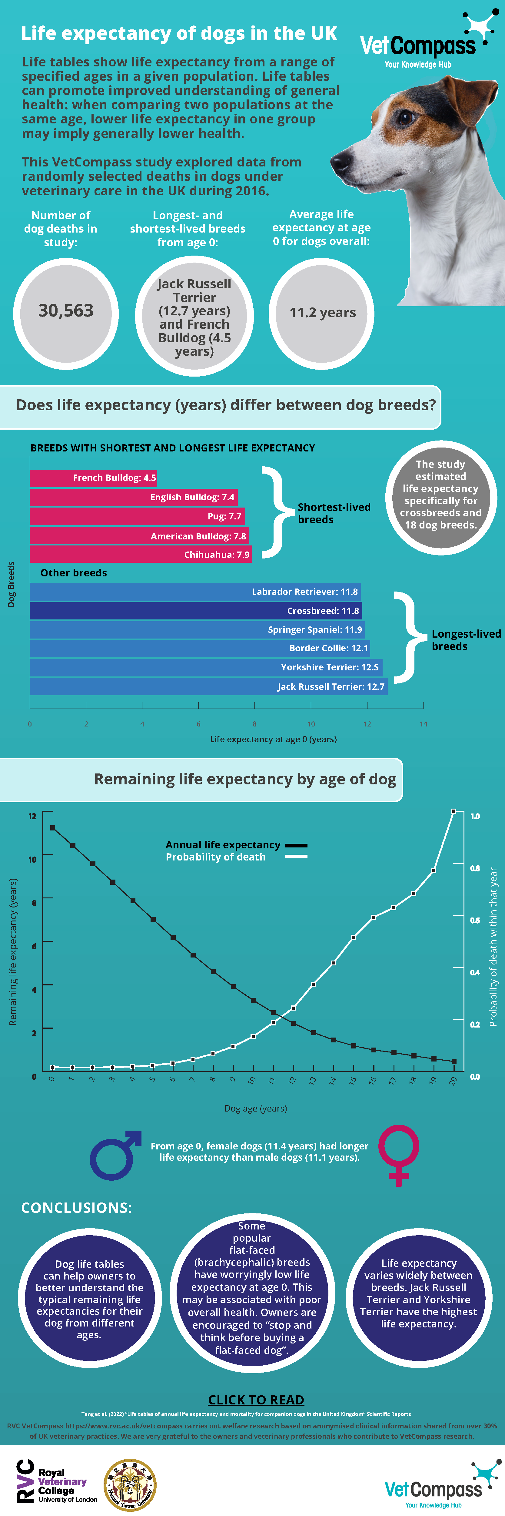 Infographic