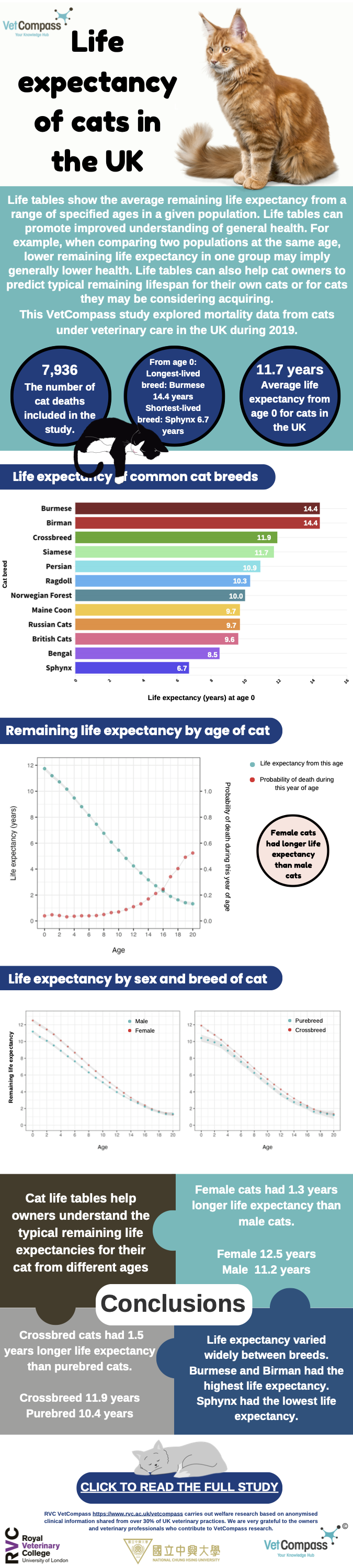 Infographic_cat_lifetable